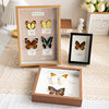 Hollow photo frame decoration handmade diy real butterfly a4 insect notebook box three-dimensional frame display frame picture frame depth