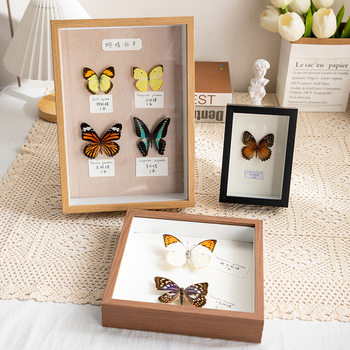 Hollow photo frame decoration handmade diy real butterfly a4 insect notebook box three-dimensional frame display frame picture frame depth