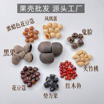 [New Product Launch]Fruit Shell Wind Chime Material Kit Indonesian Black Fruit Water Bellwood Natural Fruit Shell DIY Manufacturer Wholesale