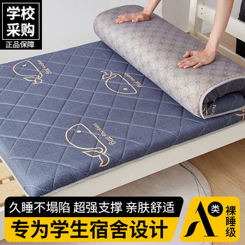 Mattress Soft Padded Thickeneded Student Dormitory Single and Double Bunk Bed Mattress Tatami Mat School Group Purchase Customization