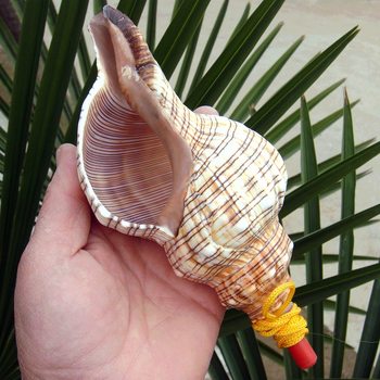 Conch Shell Whistle Children's Toy Conch Shell Craft Blowable Horn Gift for Children