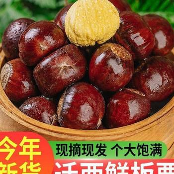2025 Freshly Picked Qianxi Old Tree Raw Chestnuts, Large Fruit Raw Chestnuts, New Crop Oil Chestnuts, Fresh Chestnuts, Raw Chestnuts Wholesale