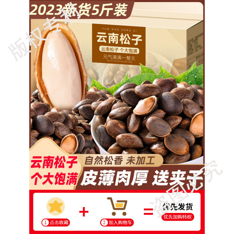 Yunnan Raw Pine Nuts in Bulk Large Particles 2024 Fresh New Goods for Pregnant Women Hand-Peeled Non-Northeastern Open Pine Nuts