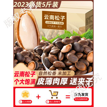 Yunnan Raw Pine Nuts in Bulk Large Particles 2024 Fresh New Goods for Pregnant Women Hand-Peeled Non-Northeastern Open Pine Nuts