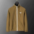 56008 earthy yellow
