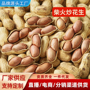 2025 farm new goods firewood iron pan fried peanuts with shell plain fried nuts snacks net weight
