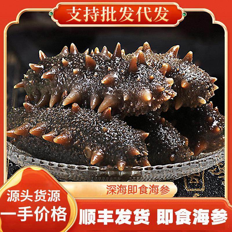 Fushi Trading Seafood Wholesale Dalian Ready-To-Eat Sea Cucumber 500g Liao Cucumber Sea Cucumber Sea Cucumber Seafood Aquatic Products Dry Goods