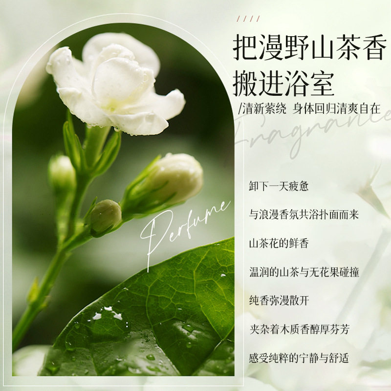 [Postage] Camellia Amino Acid Shampoo Shower Gel Fragrance Lasting Wash and Protect suit Source Producers