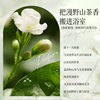 [Postage] Camellia Amino Acid Shampoo Shower Gel Fragrance Lasting Wash and Protect suit Source Producers