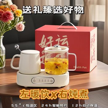 Health Pot Household Multifunctional Double Oven Health Pot Cup Constant Temperature Stew Warm Cup Integrated Office Kettle Gift