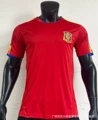 2010 spain home court