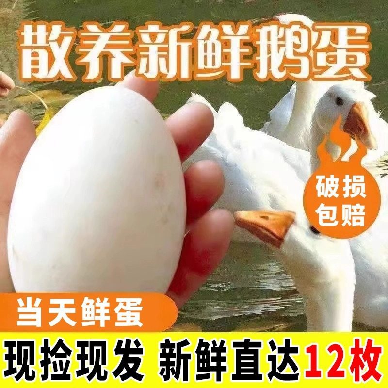 [Damage Guaranteed] Authentic Farm-Raised Free-Range Goose Eggs for Pregnant Women and Babies, Freshly Picked and Shipped