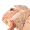 Winter Fresh Milk Velvet Four-Piece Set Thickeneded Warm Quilt Cover Double-Sided Coral Velvet Single Quilt Cover Plush Three-Piece Set