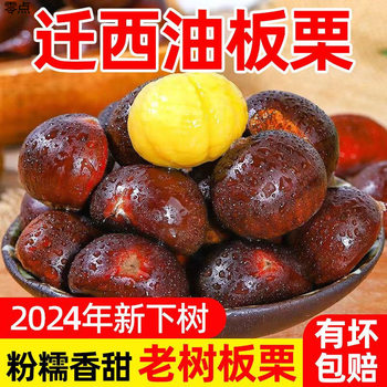 Authentic Wild Hebei Qianxi Oil Chestnuts 5/ 15.5kg Fresh Chestnuts Ready-To-Eat Raw Chestnuts Wholesale Price Non-Cone Chestnuts