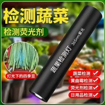 Purple Light Banknote Inspection Antique Identification Lamp Fluorescent Agent Bordeaux Liquid Cat Moss Detection Lamp Rechargeable Mini Flashlight