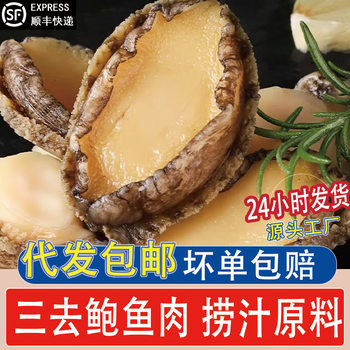 Fresh Frozen Abalone Meat, Cleaned, Shelled, Gutted, Ready to Cook, Seafood Delicacy