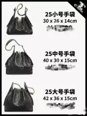 25Bag New Style Chanel 25C Genuine Leather Bucket Bag Quilted Chain Shoulder Bag Vintage Hobo Underarm Handbag