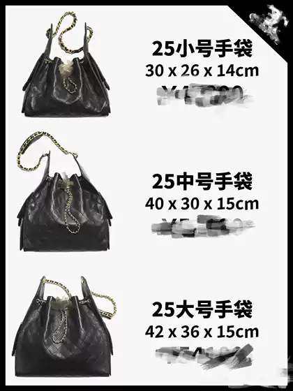 25Bag New Style Chanel 25C Genuine Leather Bucket Bag Quilted Chain Shoulder Bag Vintage Hobo Underarm Handbag