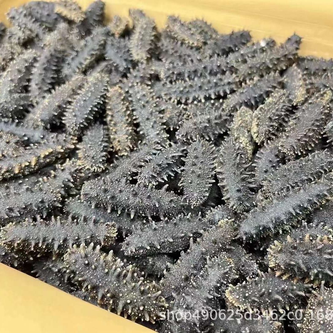 Tracing to the source of Dalian light dry sea cucumber gift box wholesale sea cucumber dry sea cucumber source manufacturers wholesale on behalf
