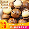Wholesale Delivery of Macadamia Nuts 500g Per Bag, Creamy Large Fruit, Thin-Skinned Snacks, Dried Fruit Specialties