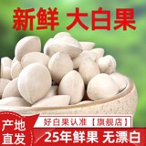 【Качественные крупные фрукты】 свежие крупные белые фрукты 2025 г., свежие орехи гинкго, суп в сырой скорлупе, сахарная вода, для использования в японских кулинарных магазинах