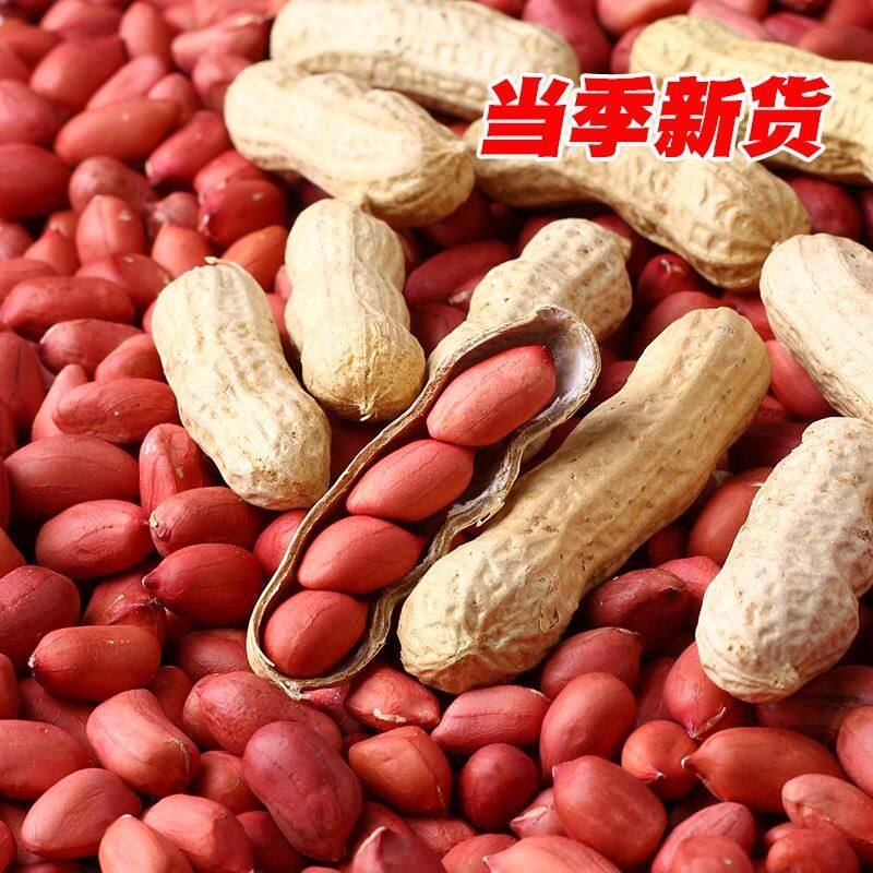 2024 New Arrivals, New Red-Skinned Raw Peanuts in Shells, Fresh Sun-Dried Original Peanuts, Iron Pan Roasted Seeds, Farm Peanuts