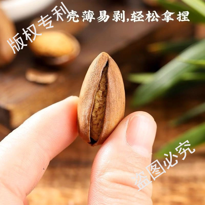 Fengqiao Torreya Large Capsules Zhejiang Zhuji Specialty Nuts Laser Opening Torreya Seeds New Bag Net Weight