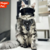 Поводок для кошки, кошка на прогулке, регулируемый ремешок в виде жилета, Мэн кэт, защита от разрывов, шея, котенок, для прогулок, грудь и спина