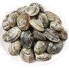 Seafood and Shellfish Frozen Vacuum Sixty-Year-Old Sand-Free Clams Vacuum Clam Barbecue Ingredients Variegated Clam Sixty-Year-Old Powder Commercial