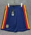 26 spain home kit