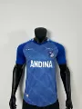 25 season millionaire home kit