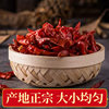 Sichuan Authentic Dried Chili 500g Spicy Spicy Extra Spicy Red Oil Chili Oil Chili Sauce Cold Skin Mixed Vegetable Seasoning