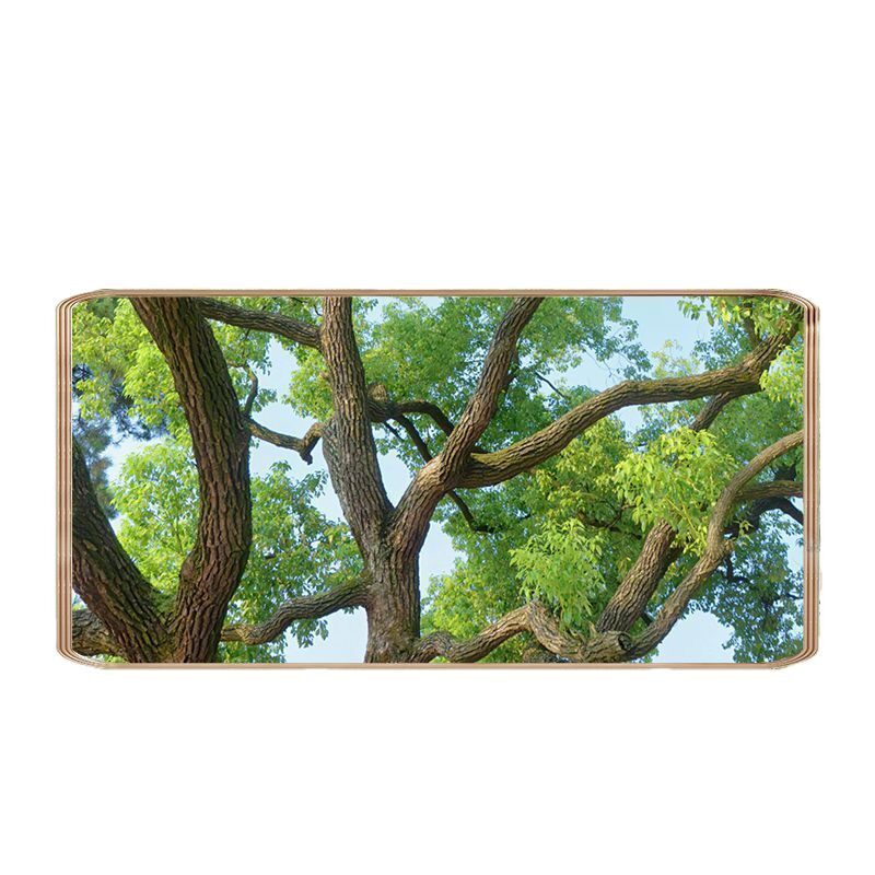 Yunnan Organic Raw Walnut Kernel New Original Shelled Walnut Meat Pregnant Women Snacks Nut Kernel Baking Raw Material Bag