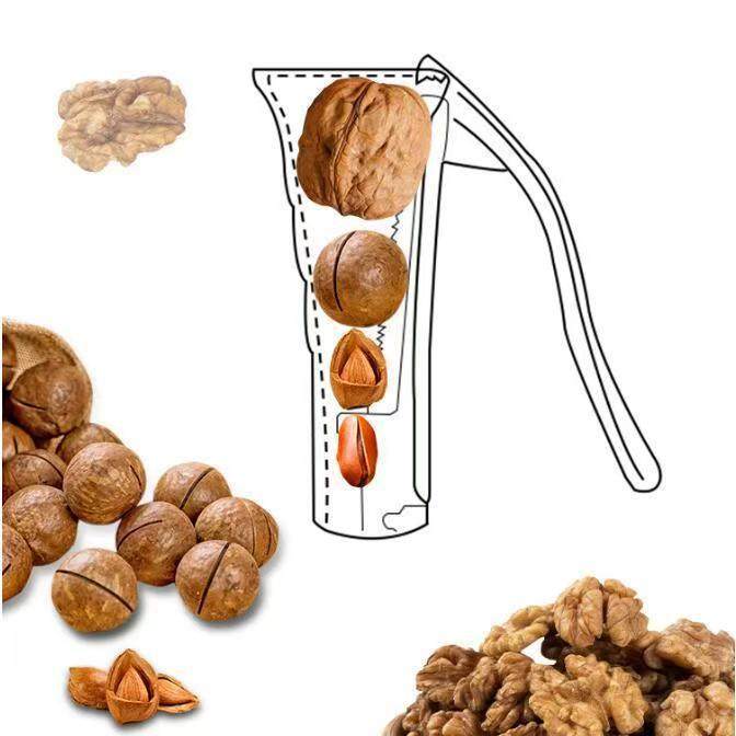 Walnut clip artifact hazelnut shell household peeling walnut nut chestnut opener multifunctional pliers tool