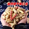 2025 New Arrival New Red-Skinned Raw Peanuts with Shells Fresh Sun-Dried Original Peanuts Stir-Fried in Iron Pan Farm Peanuts