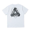 9055 white