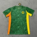2526 dortmund away game