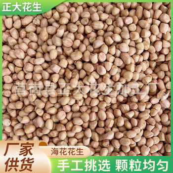 Sea Flower peanut factory wholesale Sea Flower peanut without shell original flavor raw peanut bulk peanut