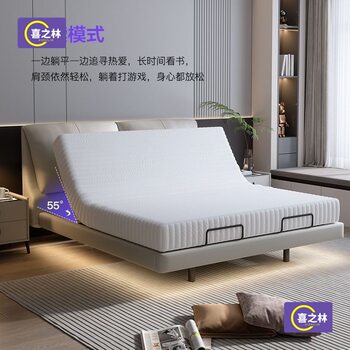 Multifunctional Double Bed Bedroom Adjustable Leather Bed Smart Electric Bed New Ear-Suspended Bed Smart Electric Bed