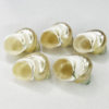 Natural Shell Conch Fluorescent Snail Hermit Crab Replacement Shell Roll Shellfish House Fish Tank Aquarium Decoration