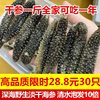 Wild Sea Cucumber Dried Goods Indonesian Black Sea Cucumber Pregnant Women Grade Authentic Sea Cucumber Pure Light Dried Sea Cucumber Bald Sea Cucumber Non-Liao Sea Cucumber