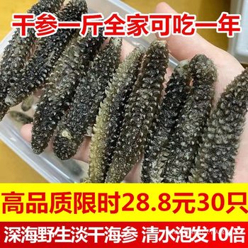 Wild Sea Cucumber Dried Goods Indonesian Black Sea Cucumber Pregnant Women Grade Authentic Sea Cucumber Pure Light Dried Sea Cucumber Bald Sea Cucumber Non-Liao Sea Cucumber