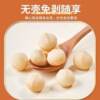 New Arrival Macadamia Nut Milk Flavor High Quality Nuts Dried Nuts Baked Snacks Nuts Independent Small Packaging Factory