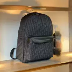 Dior Backpack Rider