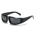 Regular (including 13% special ticket) black frame gray film