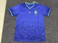 2324 brazil blue special edition with bird