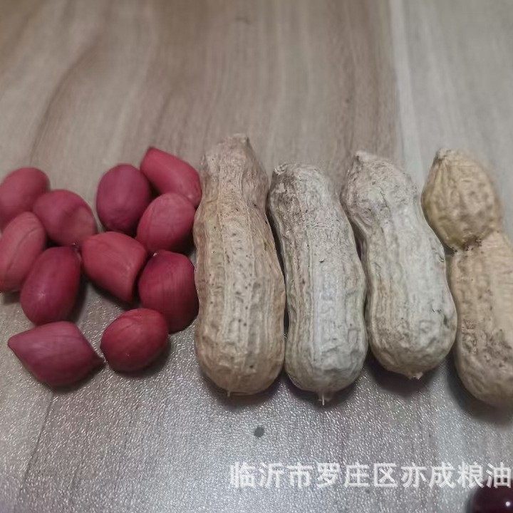 Shelled red Peanut Wholesale Sun-dried Raw Peanut 49.5 Jin Cereals New Small Seed Red Coat Peanut Northeast 4