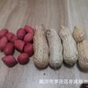 Shelled red Peanut Wholesale Sun-dried Raw Peanut 49.5 Jin Cereals New Small Seed Red Coat Peanut Northeast 4