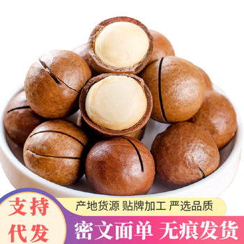 One-Piece Drop-Shipping of 500g Macadamia Nuts with Creamy Flavor, Bulk Dried Fruits, New Year's Goods, Original Flavor Nuts Snacks for Pregnant Women, Large Nuts