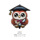Трансграничный новый постоянный базовый сертификат owl graduation doctor trophy воздушный шар из алюминиевой пленки для украшения выпускной вечеринки mini 6